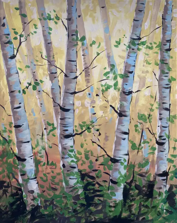 Birch Wood