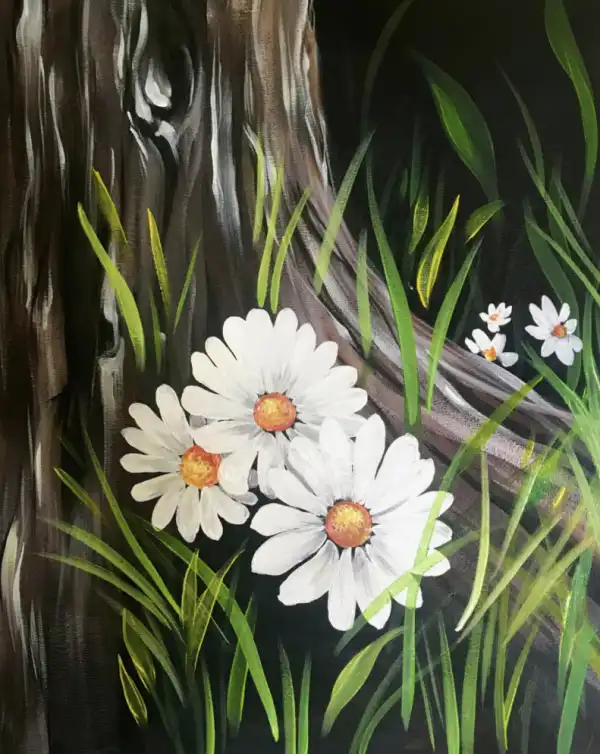 Daisy Days