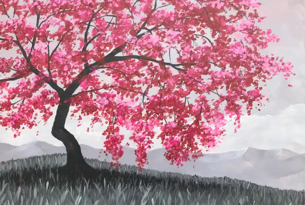 Cherry Blossom