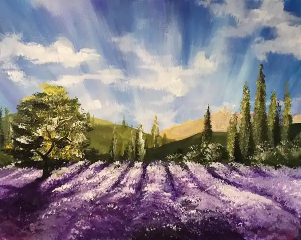 Lavender Fields