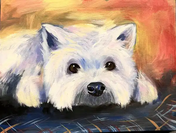 Scottie