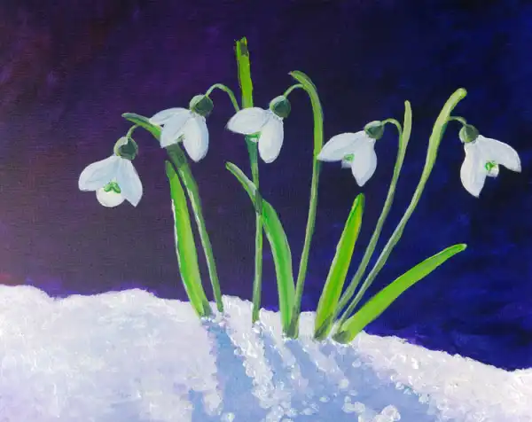 Snowdrops