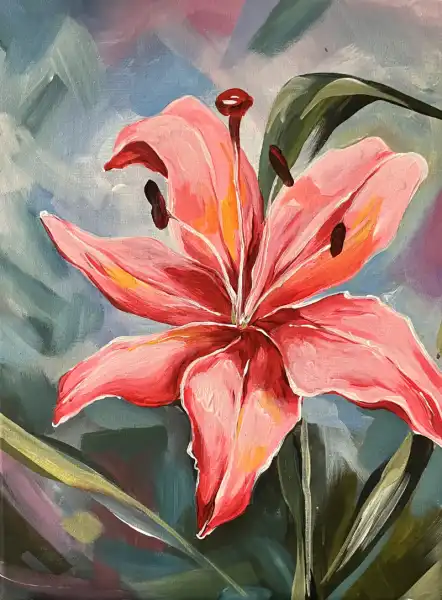 Stargazer
