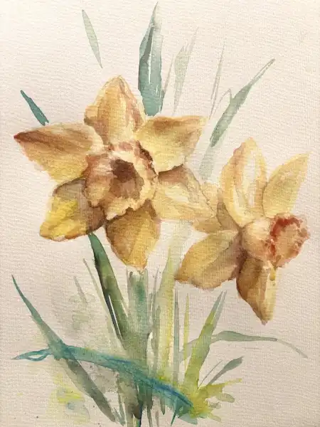 Daffodils in Watercolour