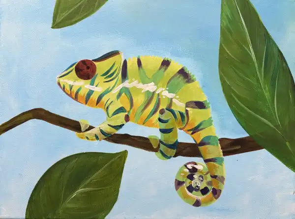 Colourful Chameleon