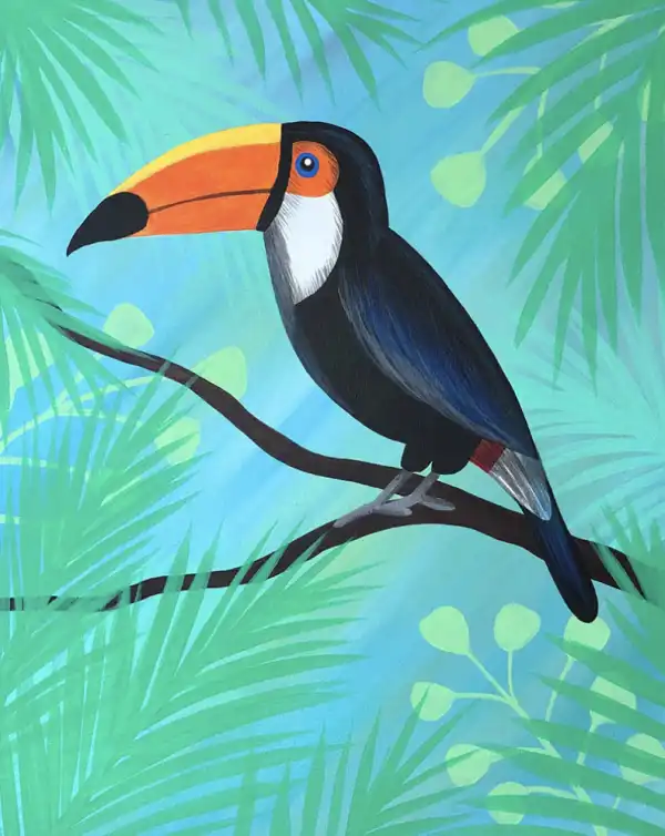 Toucan