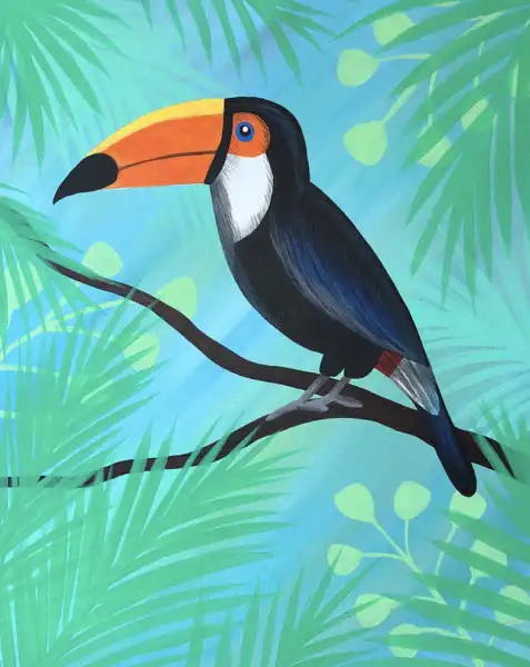 Toucan