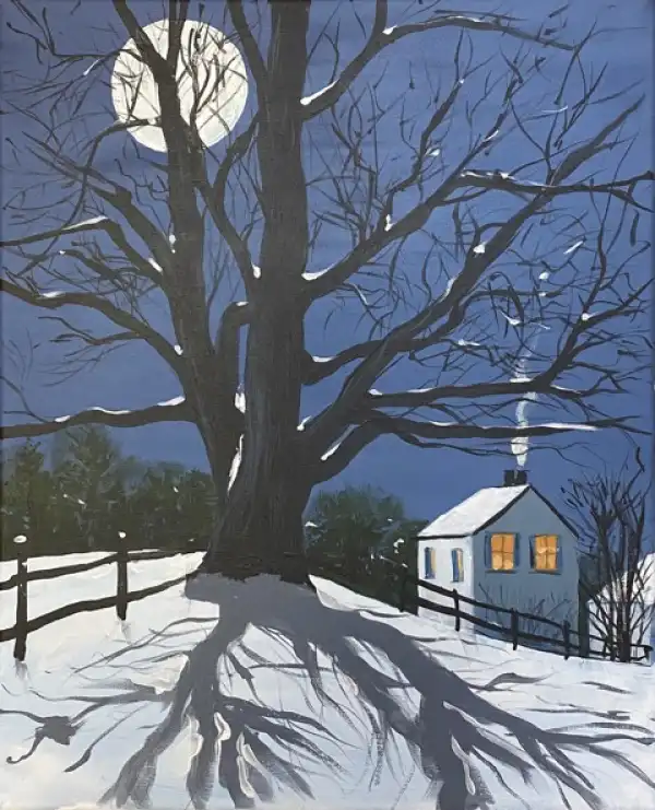 Moon Shadow