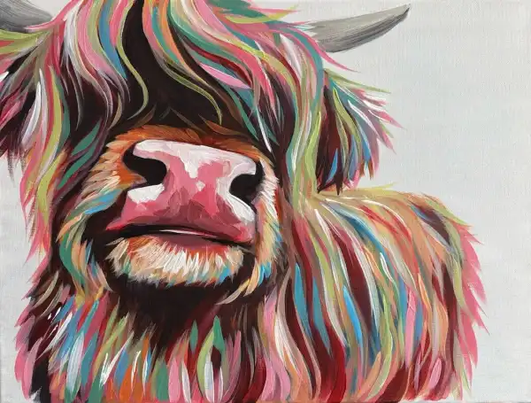 Colourful Coo