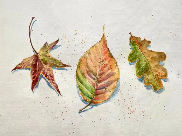 Autumn Leaves in Watercolour
