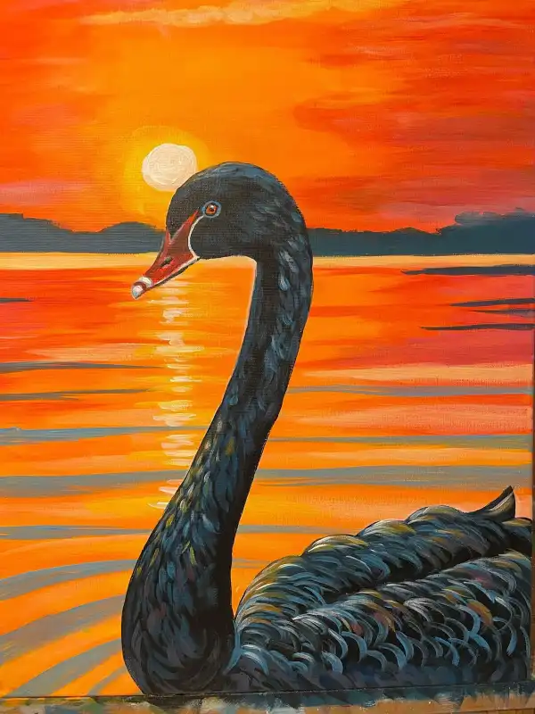 Dark Drifter (Black Swan)