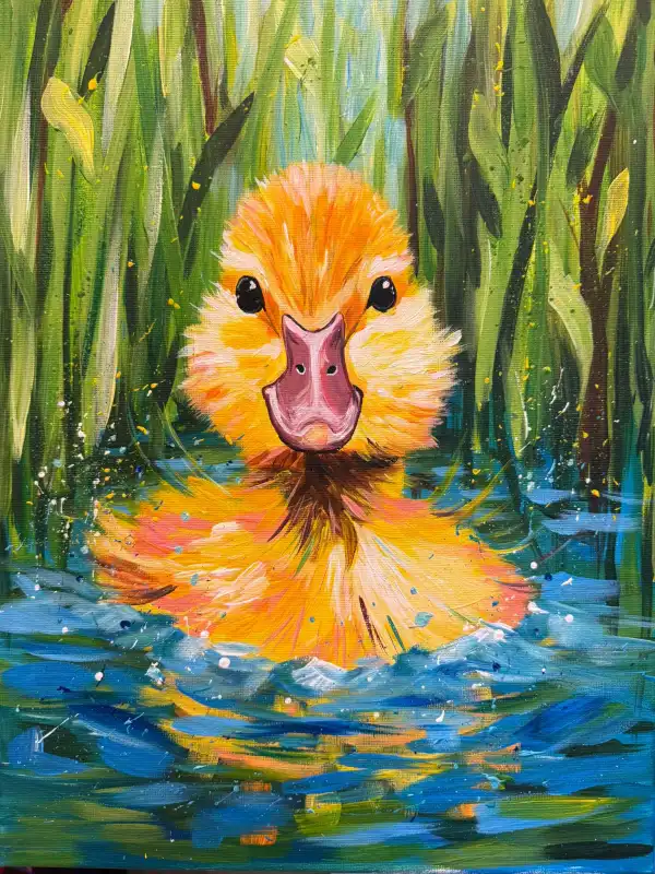 Splish Splash