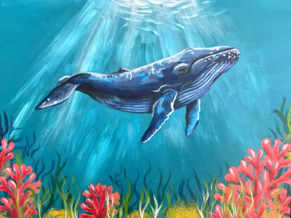 Ocean Echoes