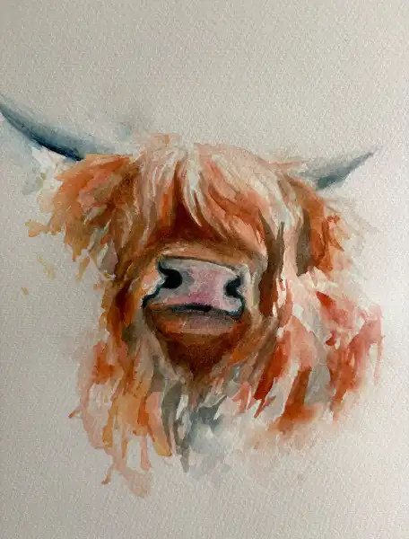 Rusty the Highland Cow Watercolour