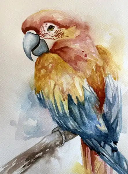 Polly Parrot